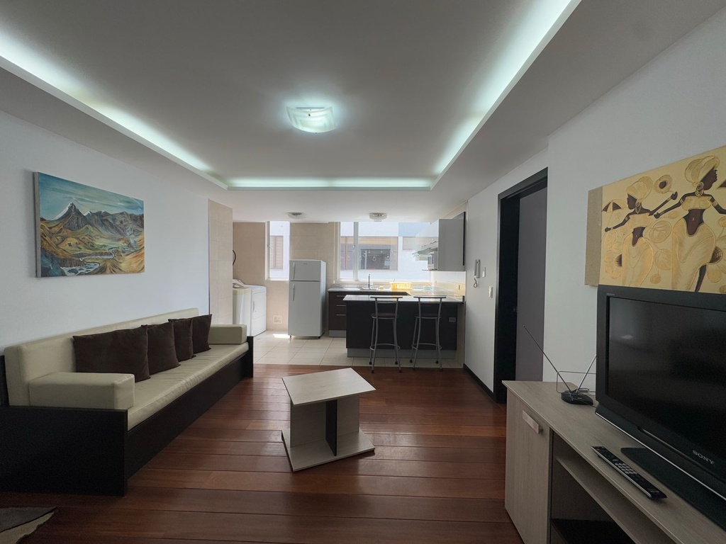 Suite Amoblada Luxemburgo