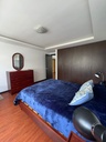 Suite Amoblada Luxemburgo