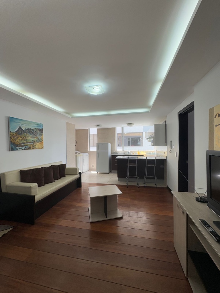 Suite Amoblada Luxemburgo