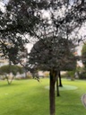 Departamento de 3 Habitaciones y 2 Parqueaderos - Sector UDLA la Granados