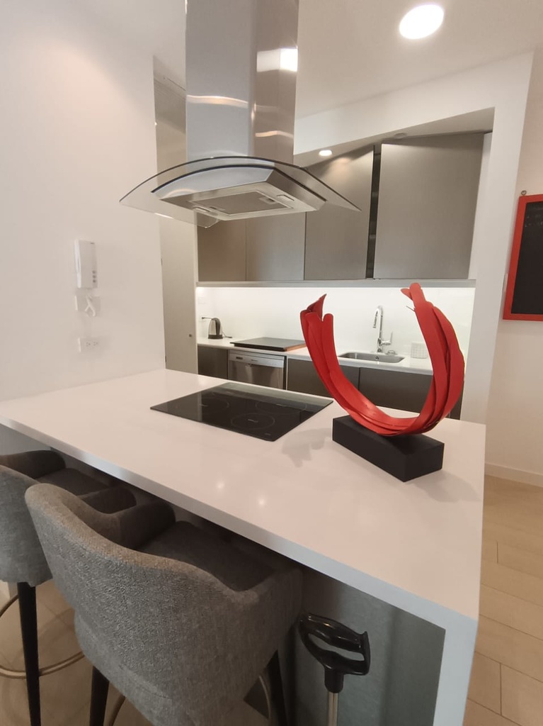 Suite Moderna en Alquiler Sector González Suárez