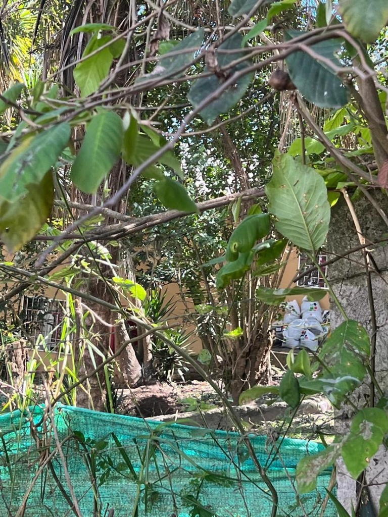 Venta - Tumbaco - Terreno Ideal Para Construir