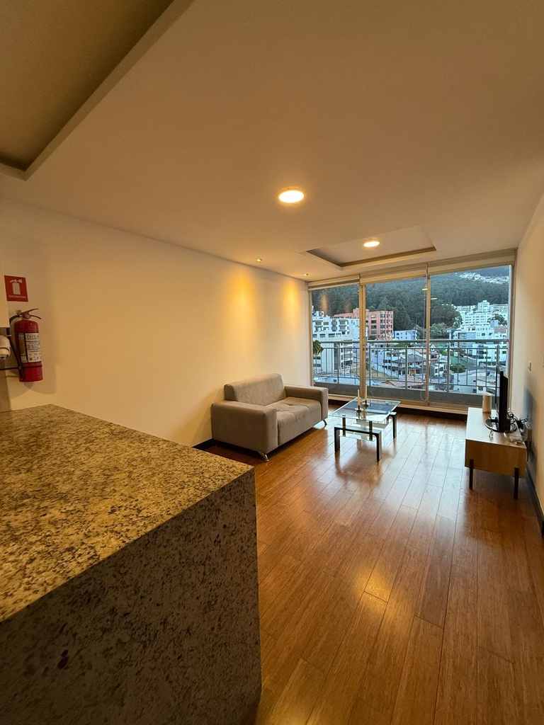Suite con Hermosa Vista en Alquiler Sector El Bosque 