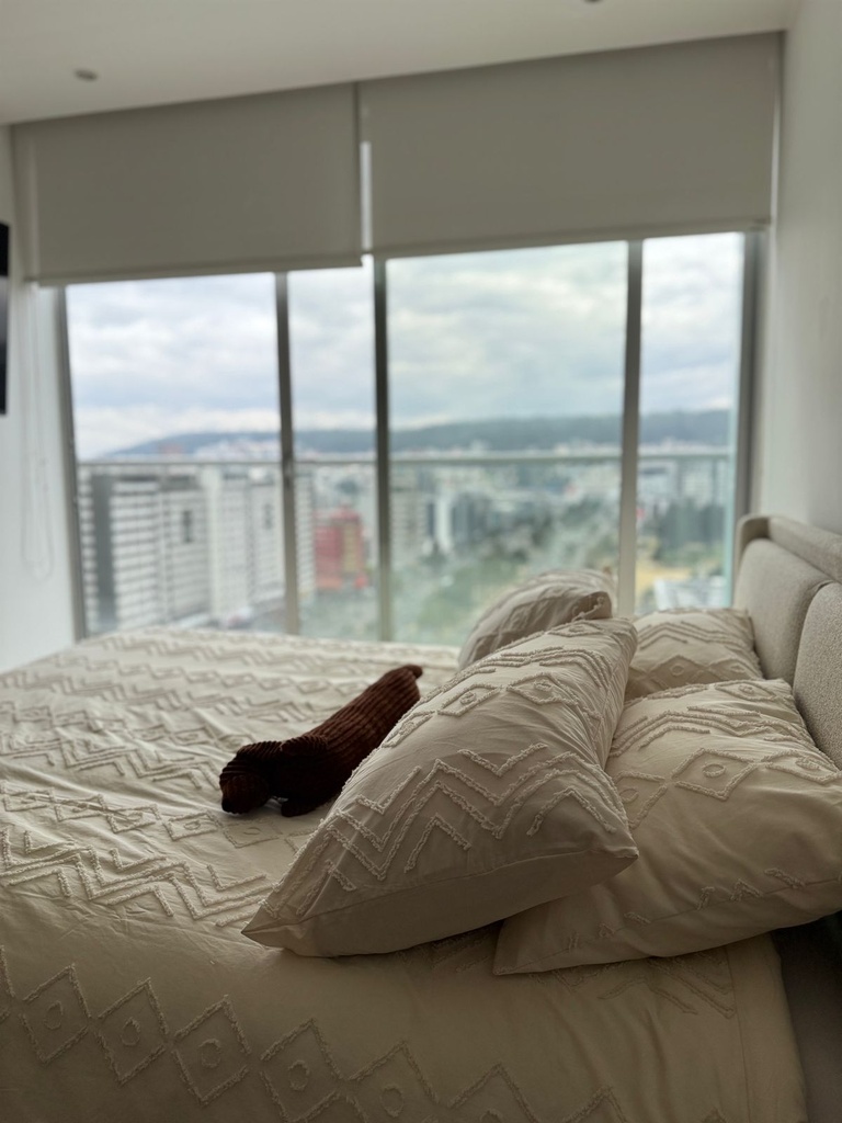 Suite con Hermosa Vista en Alquiler Sector La Carolina 