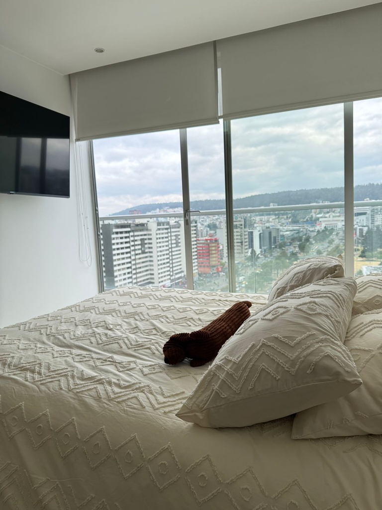 Suite con Hermosa Vista en Alquiler Sector La Carolina 