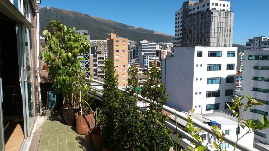  Suite con Hermosa Vista en Alquiler Sector La Carolina 